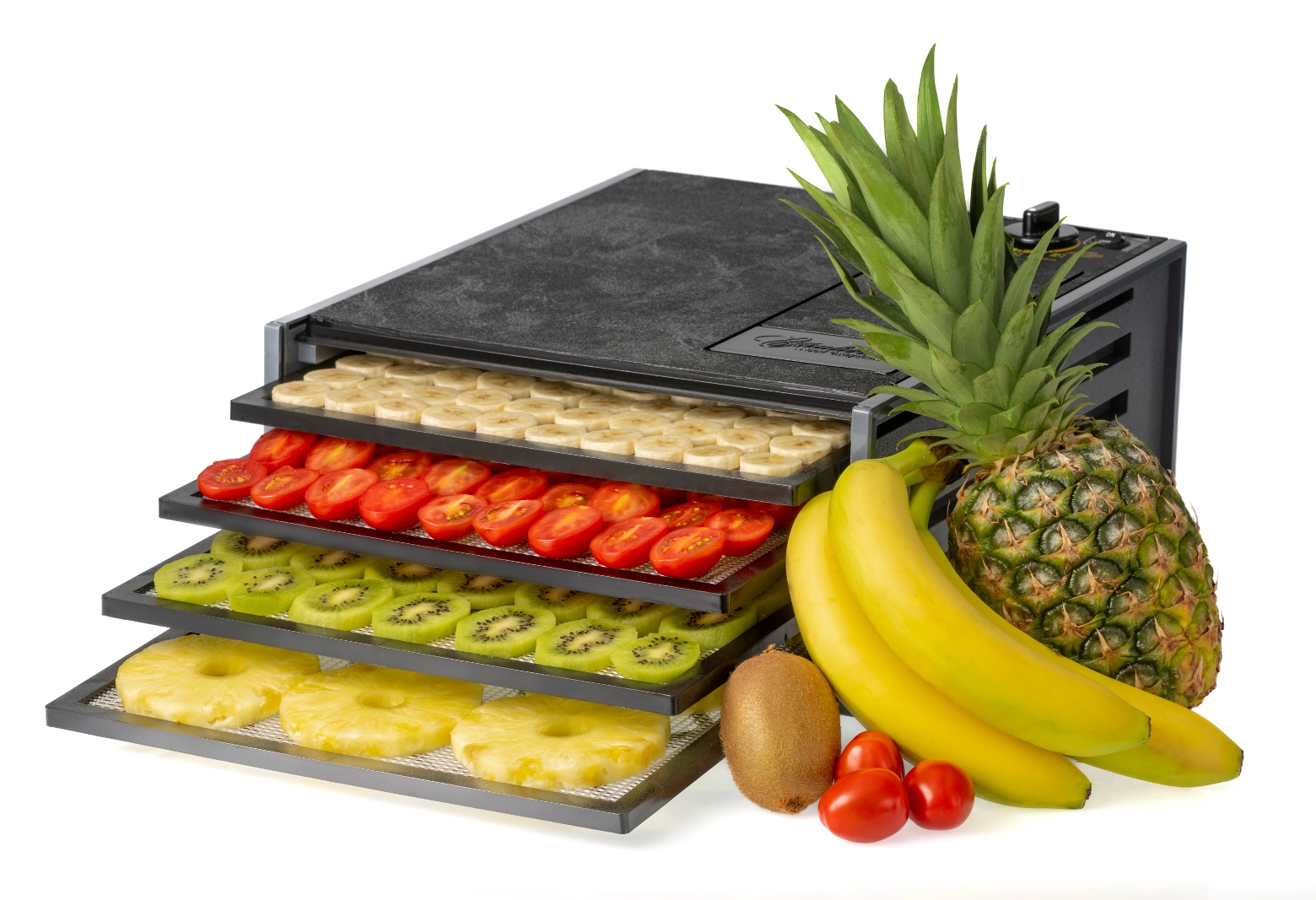 Excalibur 4 Tray Dehydrator 2400 At Juicers™