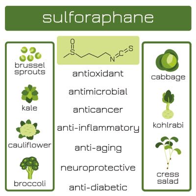 Sulforaphane Infographic