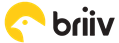 Briiv Logo