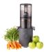 Hurom H310 Self Feeding Mini Slow Juicer Charcoal