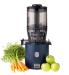 Hurom H330P Self Feeding Slow Juicer in Deep Blue